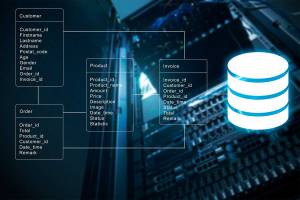 Online-Datenbanken und Kundendatenmanagement